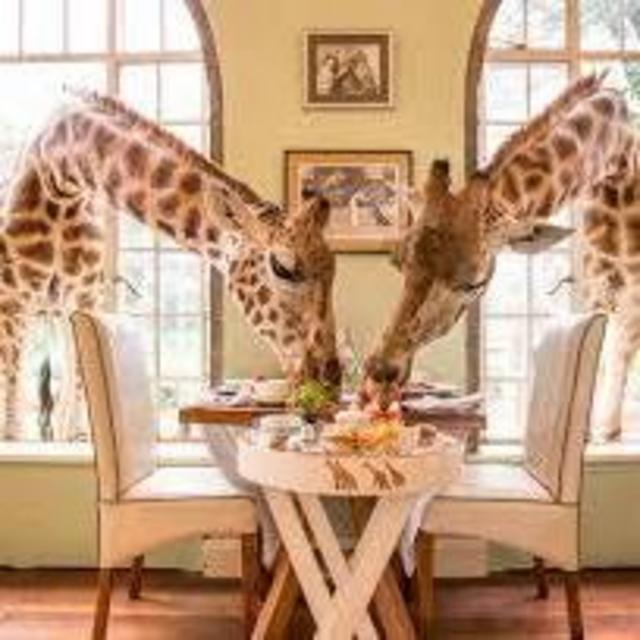 Giraffe Manor Dinner