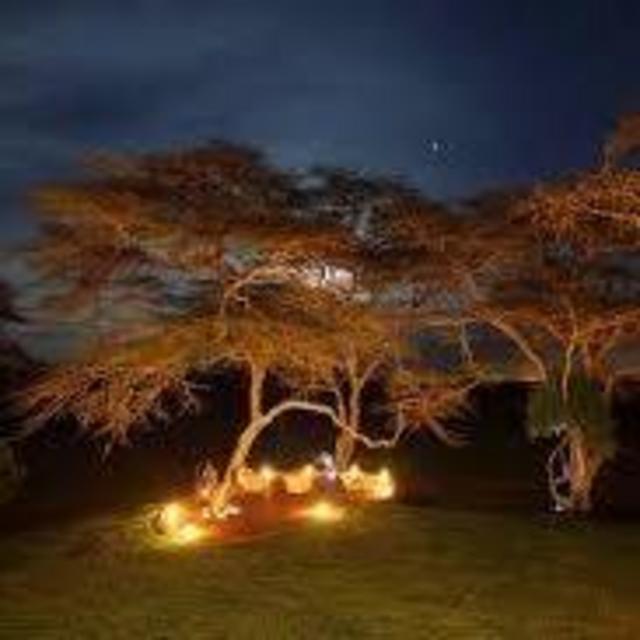 Bush Dinners Under the Stars