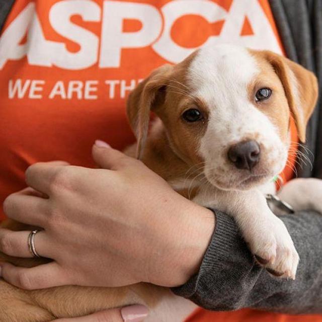 ASPCA Fund