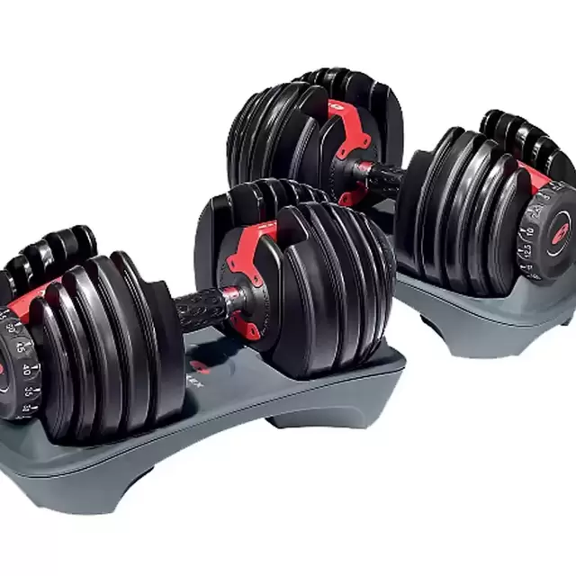Bowflex SelectTech 552 Dumbbells
