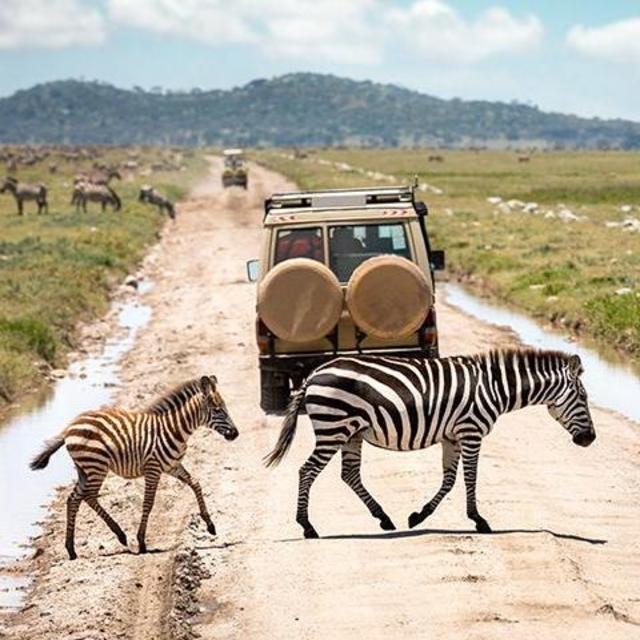 Honeymoon - Tanzania and Zanzibar
