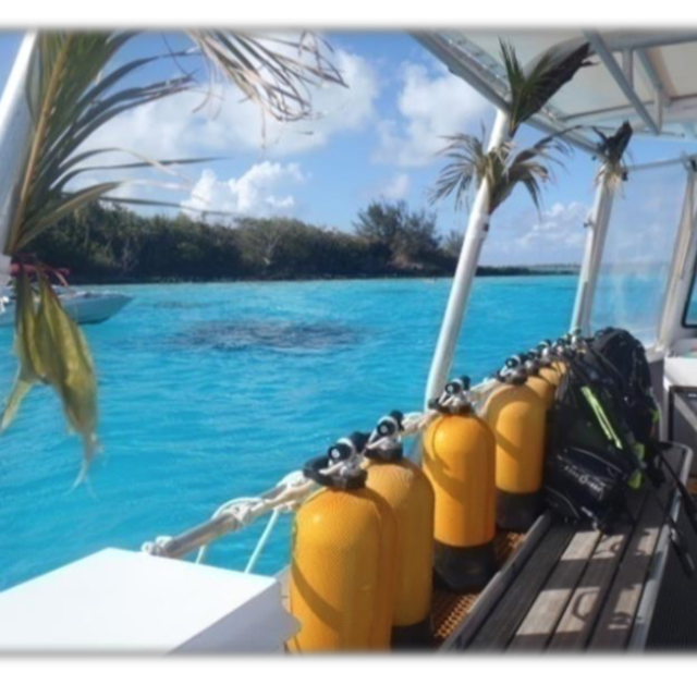 2 HR Scuba Dive for Two