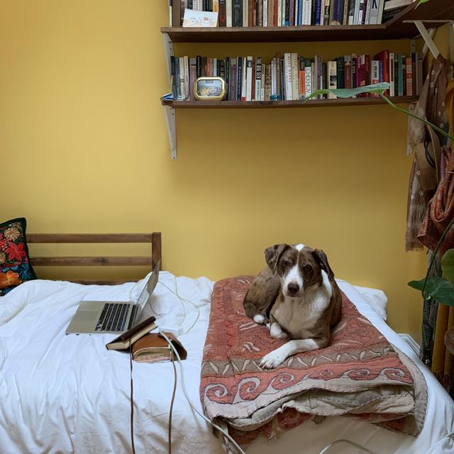 Monthly Local House Cleaning Service