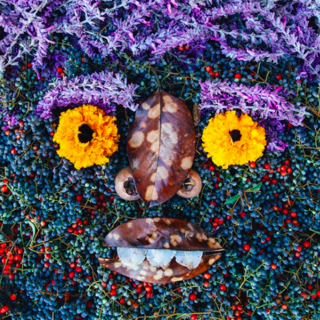 Chris' Framed Nature Face Art Prints