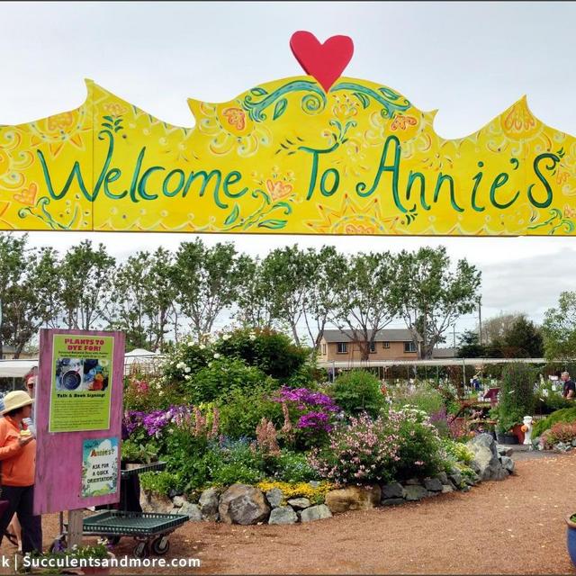 Annie's Annuals Gift Certificate