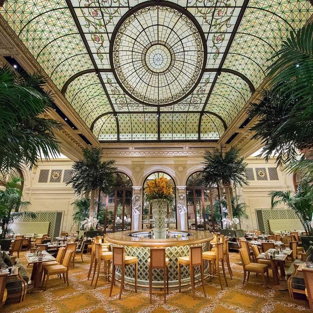 Afternoon Tea at the Plaza