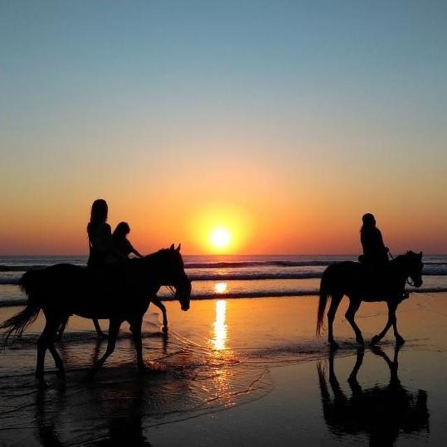 Horseback Riding