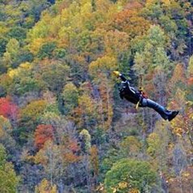 Smokey Mountain Zipline Tour (for 2) on our Honeymoon