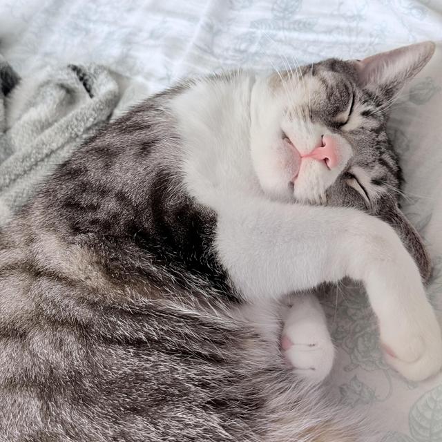 For catto's wellbeing!