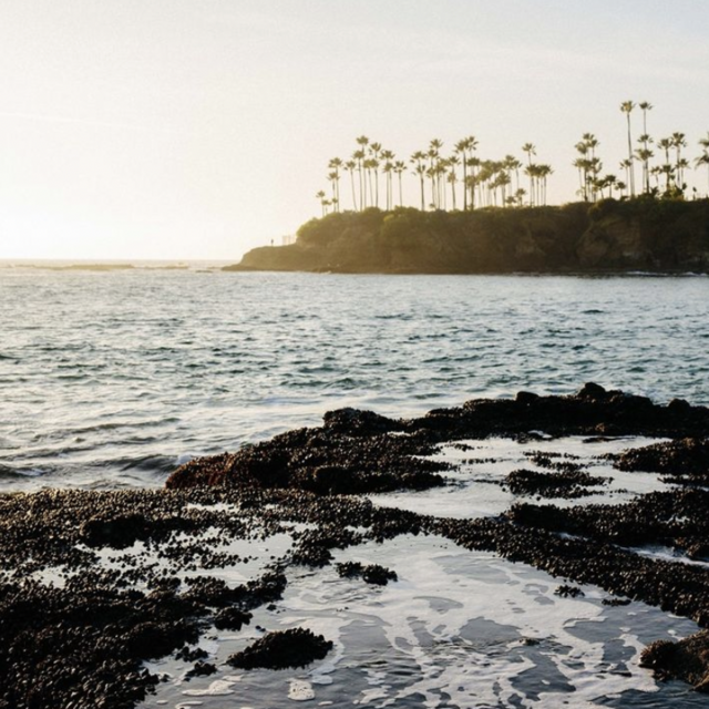 Honeyfund: Flights to California