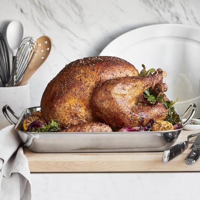 Williams Sonoma Thermo-Clad™ Extra Large Stainless-Steel Flared Roasting Pan with Rack