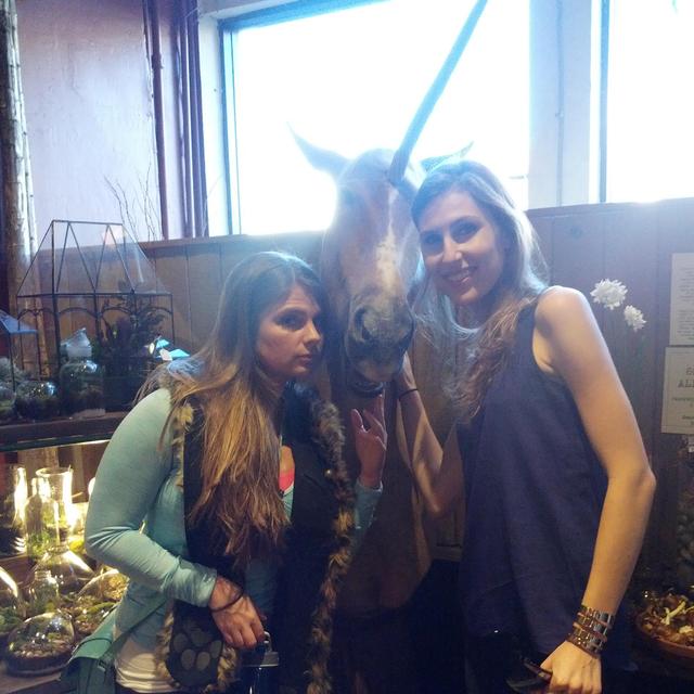 a real pet unicorn