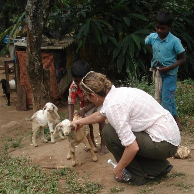 a year long membership to the petting zoo