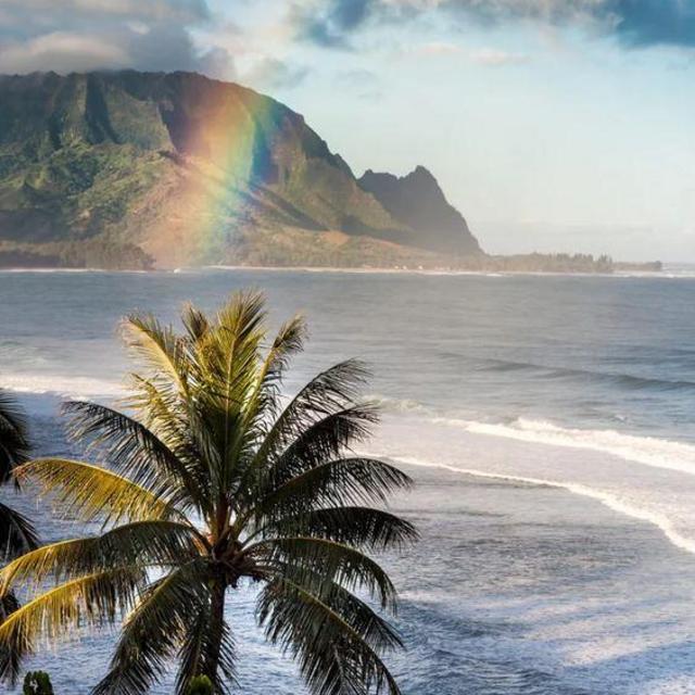 Our Hawaii Honeymoon Fund