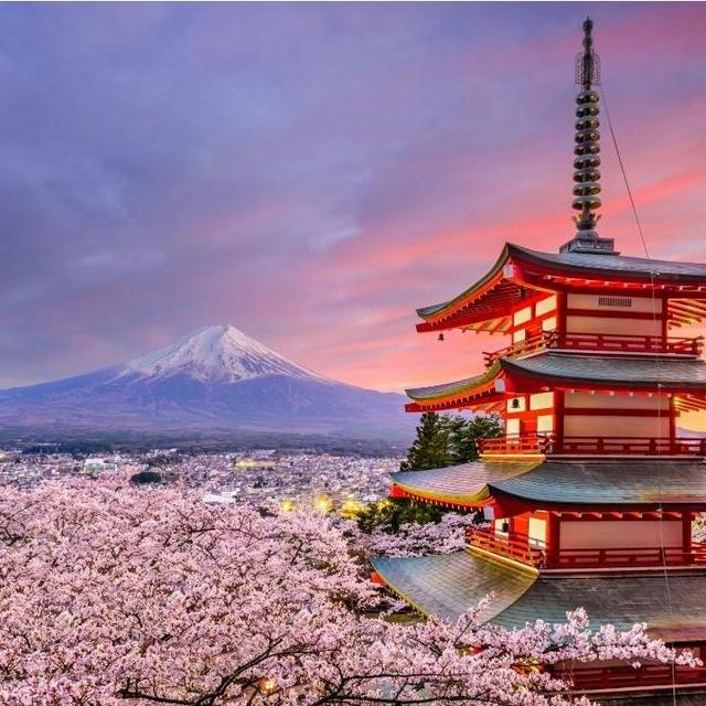 Japan Honeymoon Fund