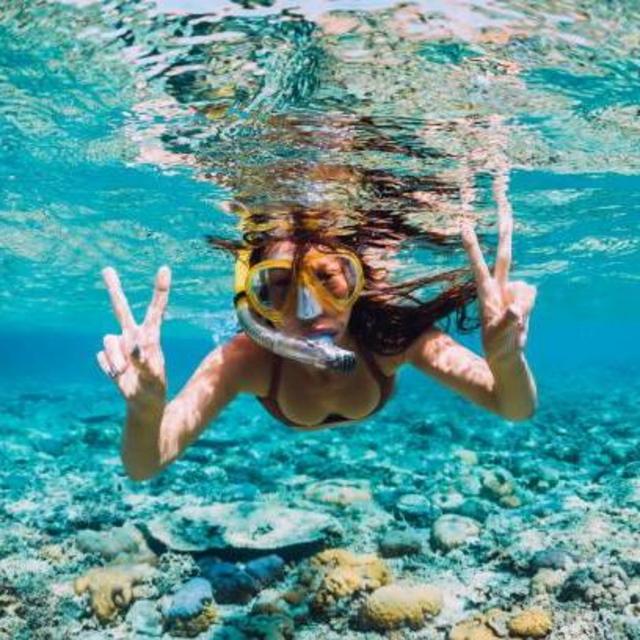 Snorkeling Excursion