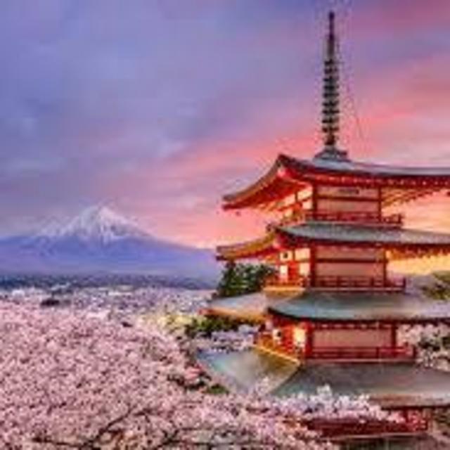 Honeymoon Fund (Japan!)
