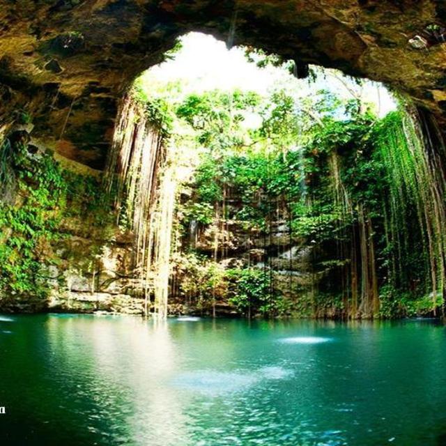Swimming in a cenote