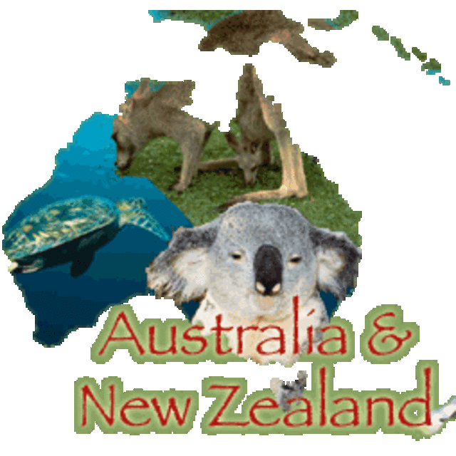 Honeymoon Down Under (Trip…silly)!!!