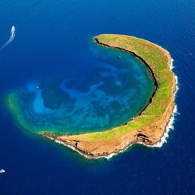 Molokini snorkel tour!