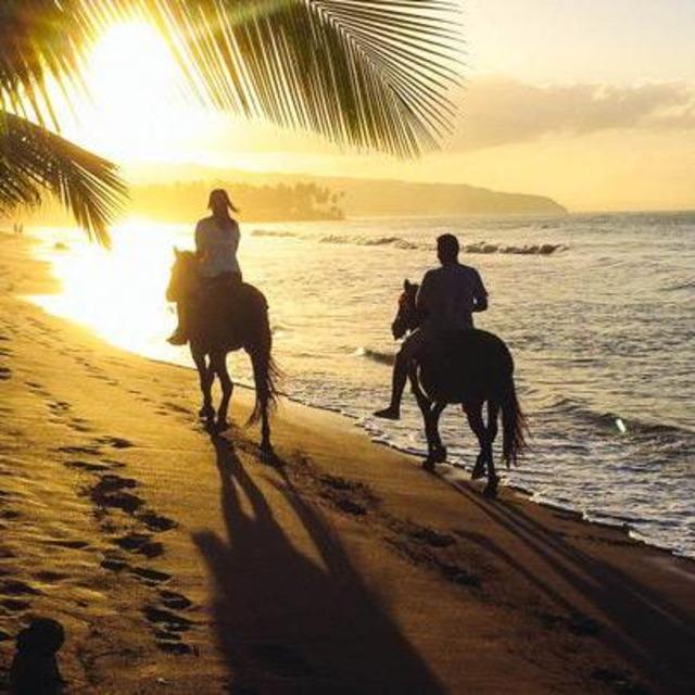 Sunset Horseback Ride