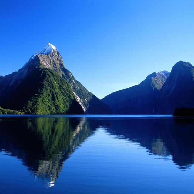 Milford Sound Day-Trip - JUCY Cruise Milford Sound