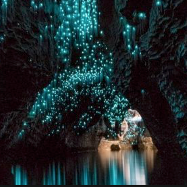 Tour of Waitomo Glowworm Caves, Waitomo