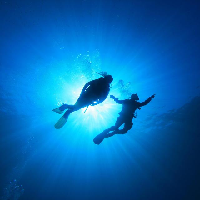 Scuba Diving