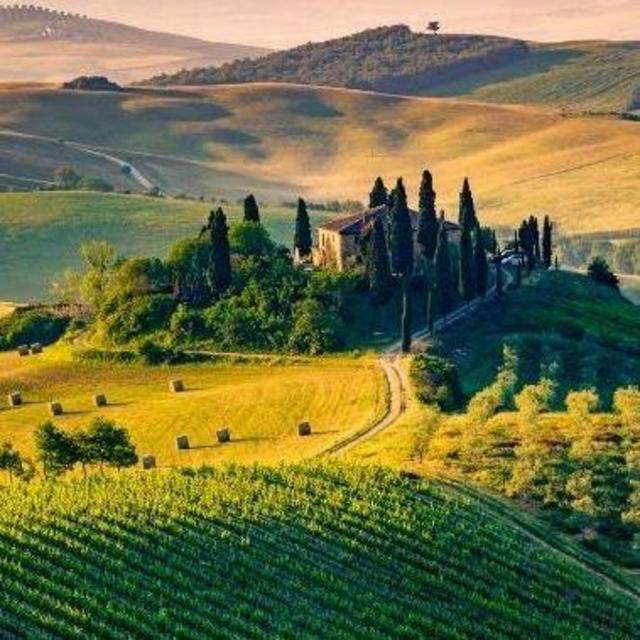 Tuscany Winery