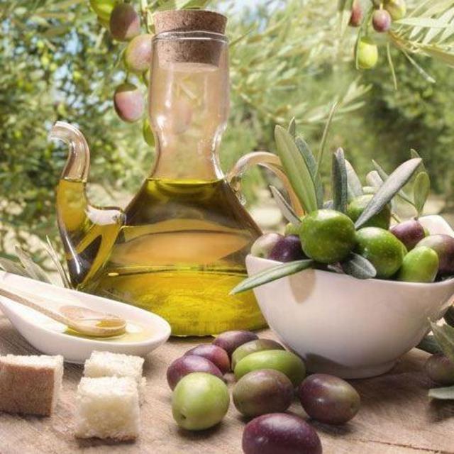 Wine and Olive Oil Tasting in Puglia