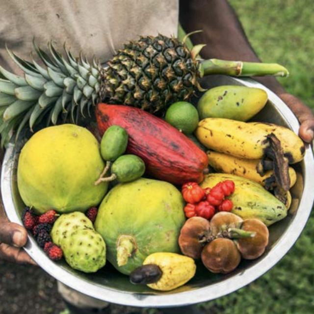 Honeymoon - Jungle-To-Table Foraging Farm Tour
