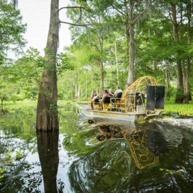 Honeymoon Swamp Tour