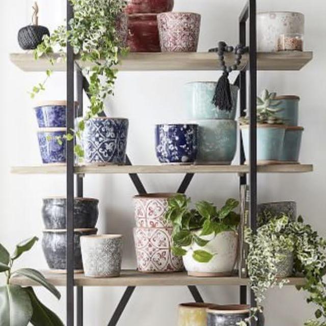 Pottery Barn - Planters Fund