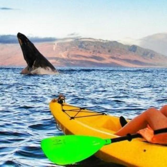 Kayaking in Maui