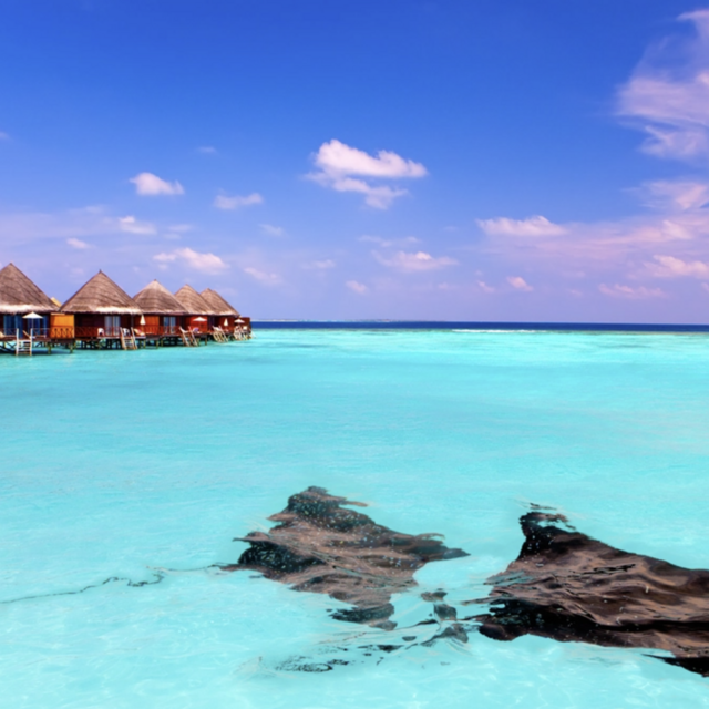 Maldives: Snorkeling