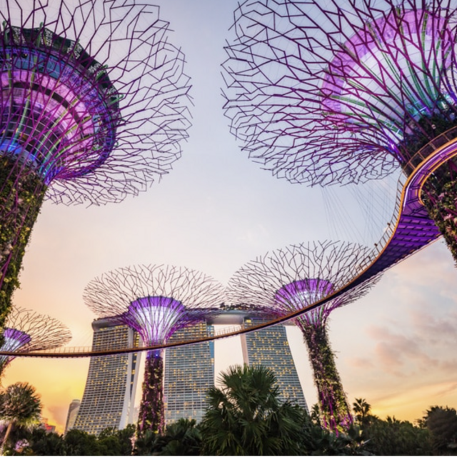 Singapore: Garden By the Bay Day