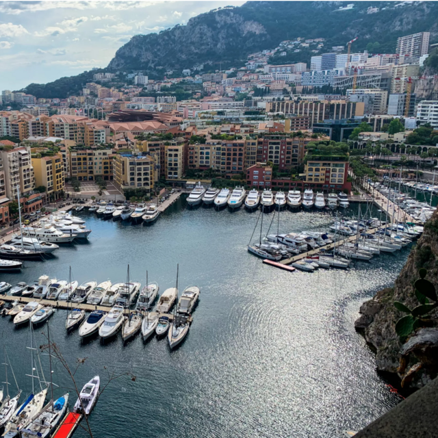 Monaco & Monte Carlo Excursion