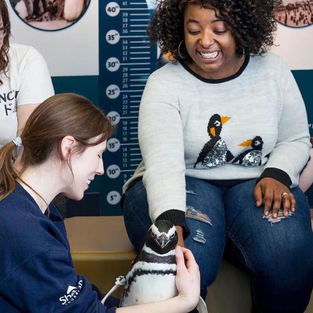 Tickets for the Penguin Encounter at the Shedd Aquarium