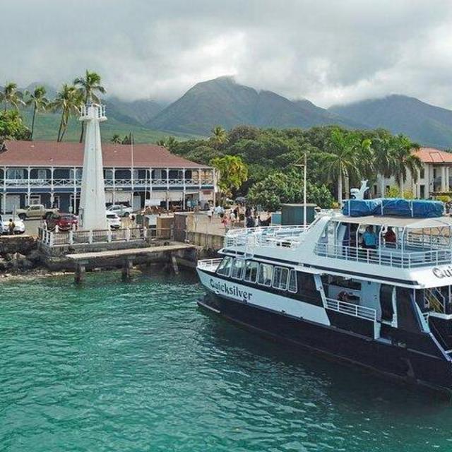 Turtle Town Afternoon Snorkel (MAUI/Lahaina Harbor)