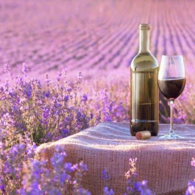 Wine Tastings in Provence