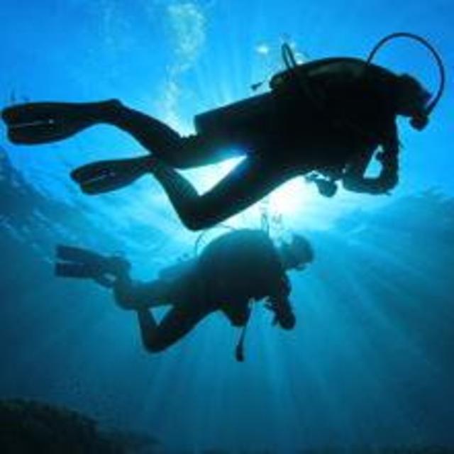 Honeymoon Scuba Adventure