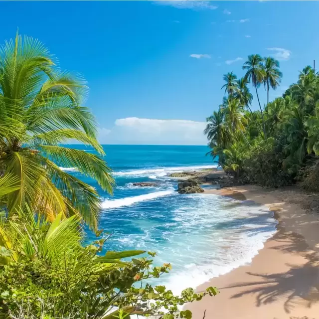 Costa Rica Honeymoon Fund