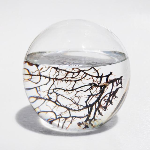 Medium Sphere EcoSphere