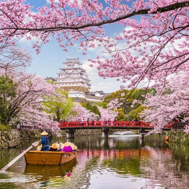 Our Japan Honeymoon