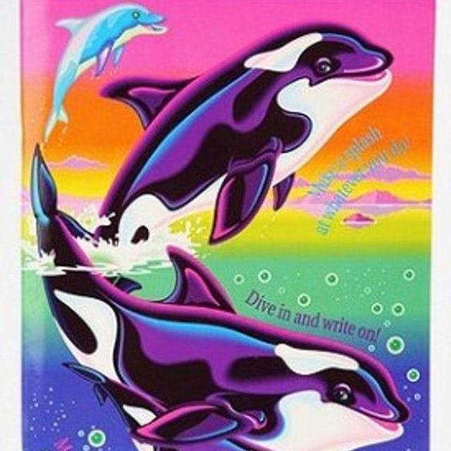 Whale Watching in Northern Vancouver Island!