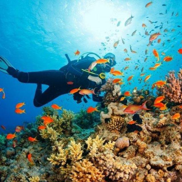 Couples' Half-Day Snorkeling at Sombrero Reef and Coffin's Patch (Honeymoon)