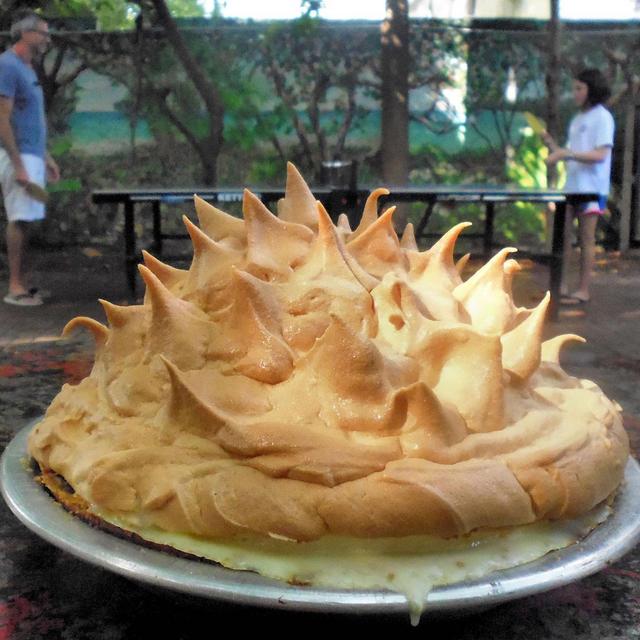 Lunch or Dinner [and Pie!] for Two (Honeymoon)