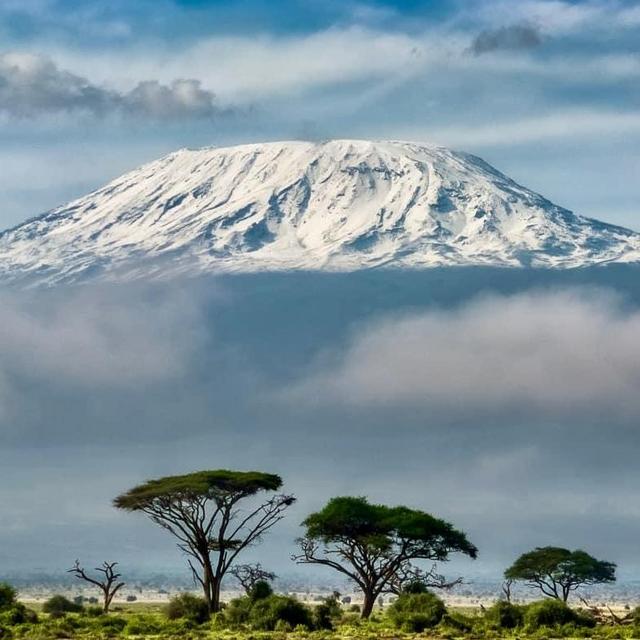 Day of Guided Kilimanjaro Trek