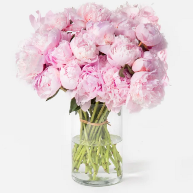 One Month of a Flower Subscription