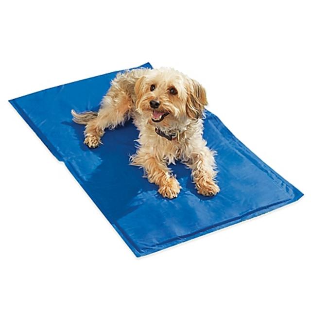 Chillz™ Comfort Cooling Gel Extra-Large Pet Pad
